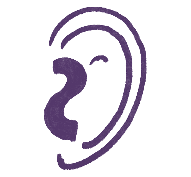 An illustration of an ear